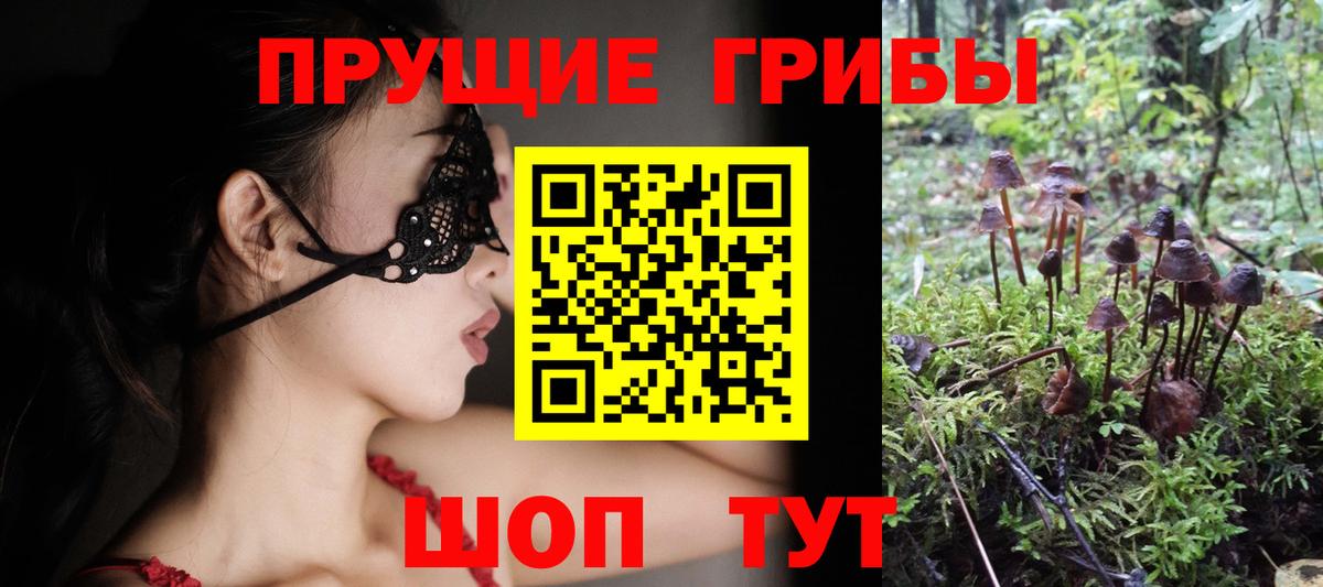 Псилоцибиновые грибы прущие грибы Видное