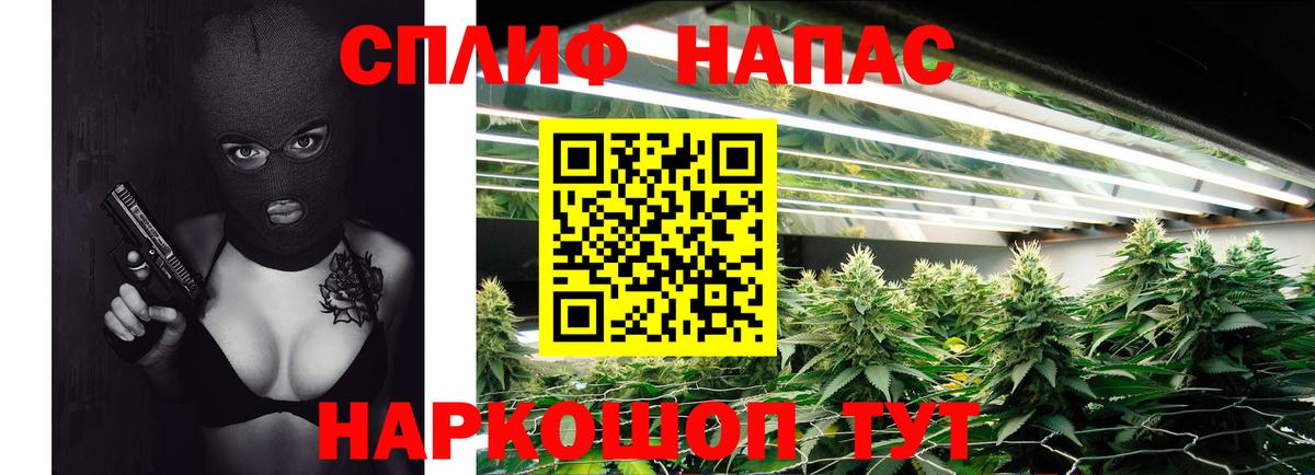 Шишки марихуана THC 21%  Конопля планчик  Вход с VPN  МАРИХУАНА планчик  Видное 